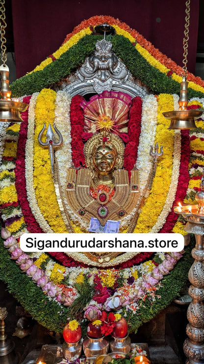 chowdamma devi 4k HD wallpaper